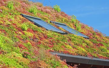 Saxton living roof systems