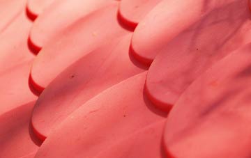 Saxton plastic roof costs