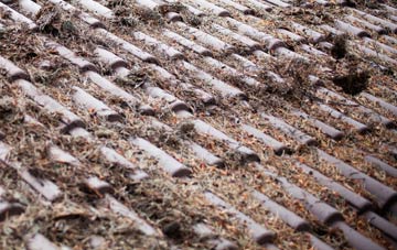 Saxton roof cleaning companies