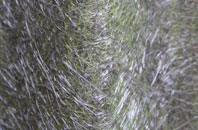 Saxton fibreglass roof work